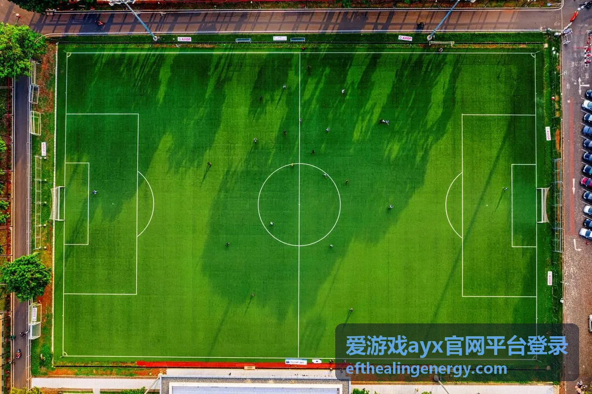 爱游戏ayx官网平台登录安装前的设备与网络准备